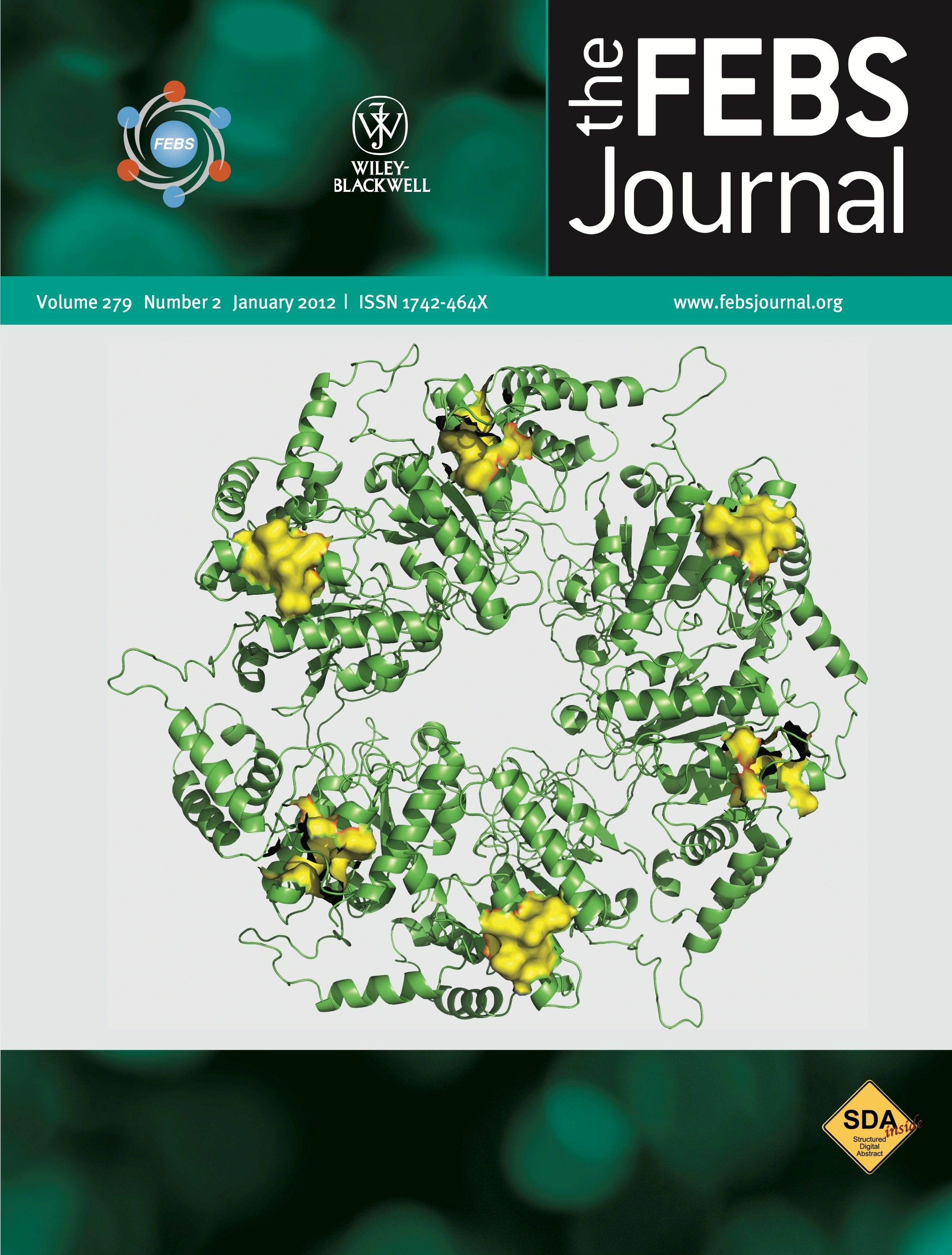 Suman Dhar's work on the cover of the FEBS journal