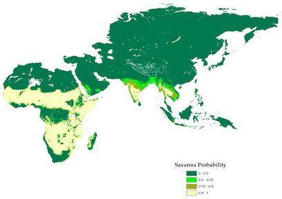 Championing Asian savannahs - IndiaBioscience