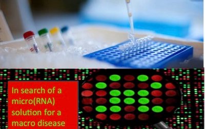 In search of a micro (RNA) solution to a macro disease (diabetes)