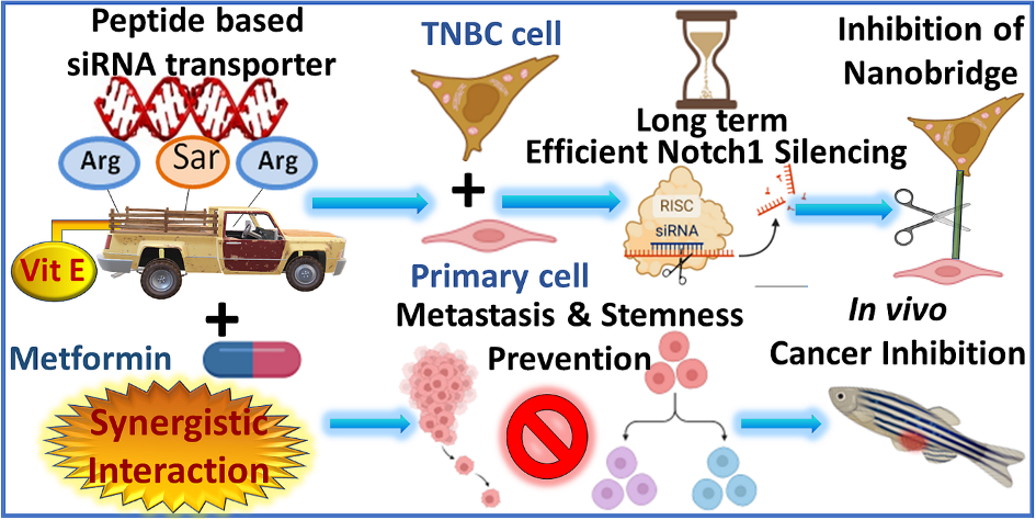 This image represents the key point summary of the work done by the authors and appears as the Table of Content image of Chem. Sci., 2023,14, 7842-7866. CC BY-NC.