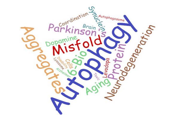 Wordcloud of key terms in autophagy and Parkinson's disease