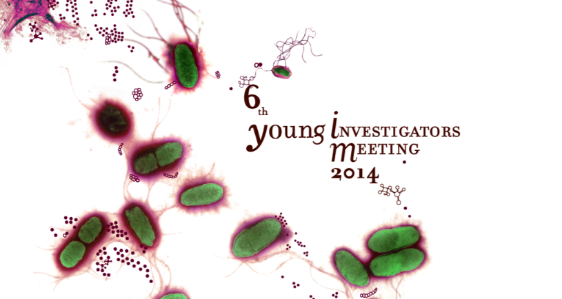YIM 2014_Web banner